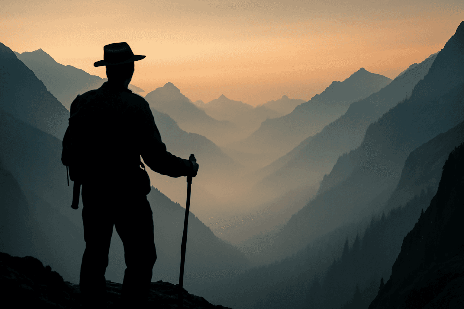 山鹰巡护系统背景