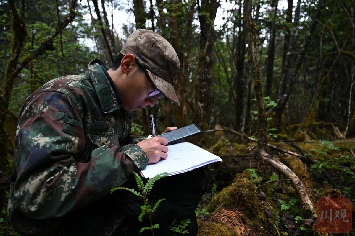 自然保护区巡护员